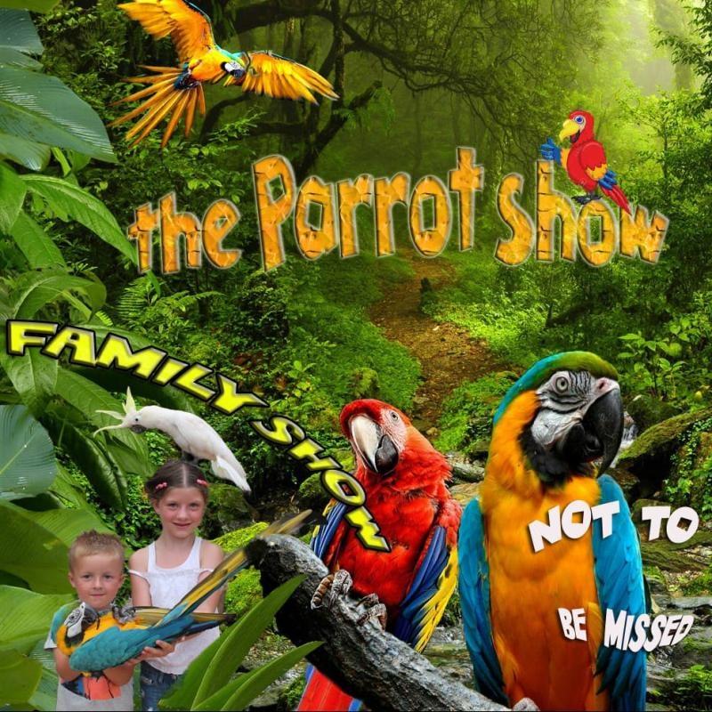 Loro Parrot Show - Event in Benidorm
