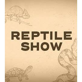 Kids Reptile Show - Event in Benidorm